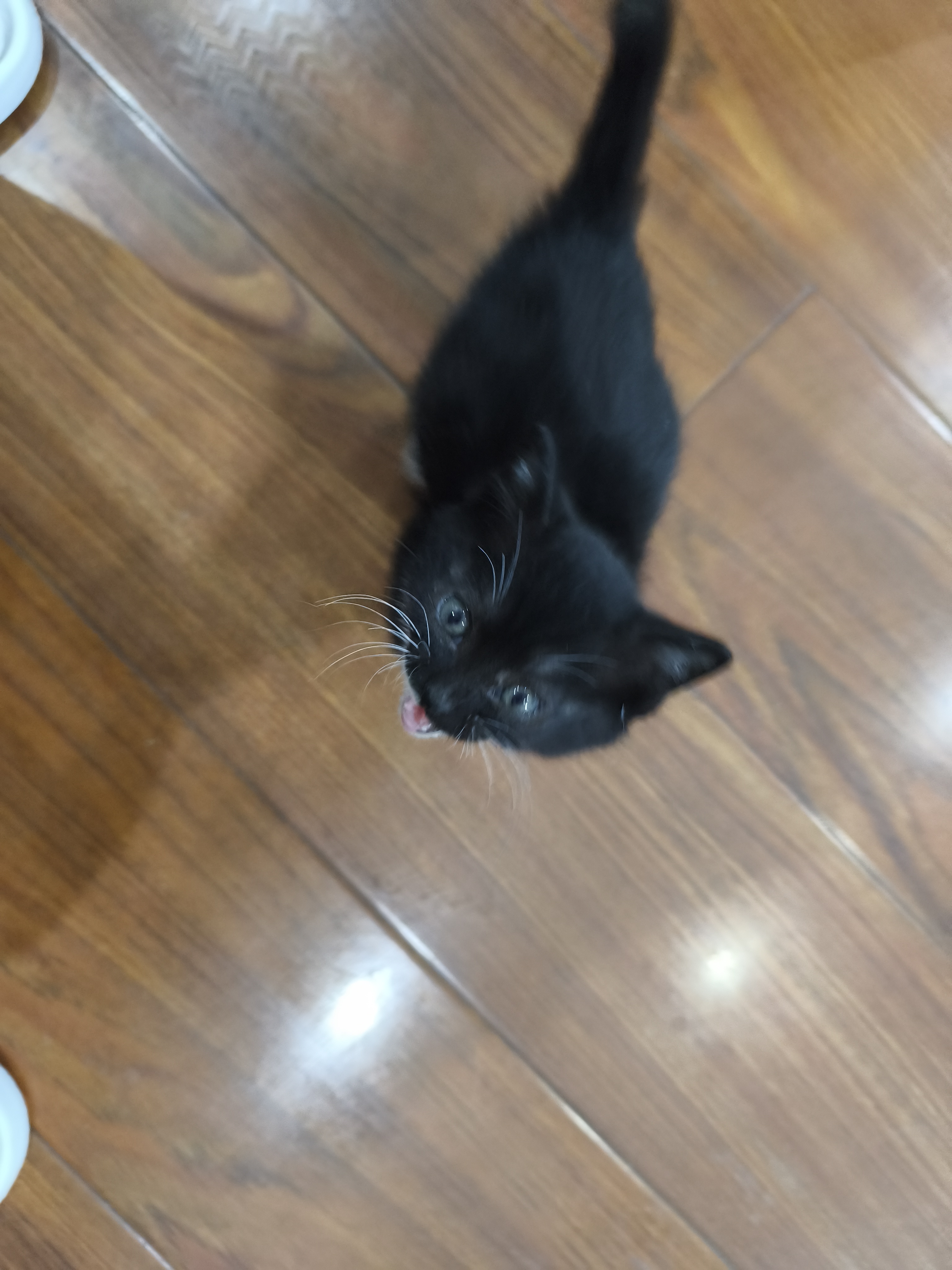 开饭啦